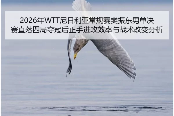 2026年WTT尼日利亚常规赛樊振东男单决赛直落四局夺冠后正手进攻效率与战术改变分析