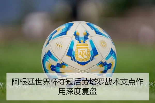 a-gen-ting-shi-jie-bei-duo-guan-hou-lao-ta-luo-zhan-shu-zhi-dian-zuo-yong-shen-du-fu-pan-3-932.jpg