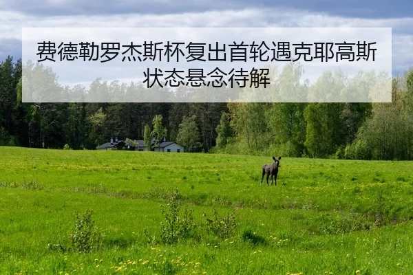 fei-de-lei-luo-jie-si-bei-fu-chu-shou-lun-yu-ke-ye-gao-si-zhuang-tai-xuan-nian-dai-jie-2-390.jpg